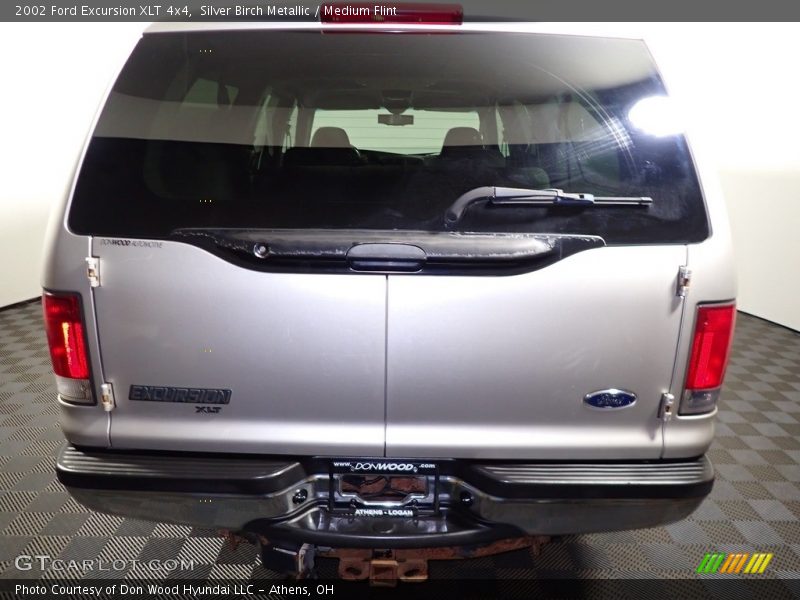 Silver Birch Metallic / Medium Flint 2002 Ford Excursion XLT 4x4