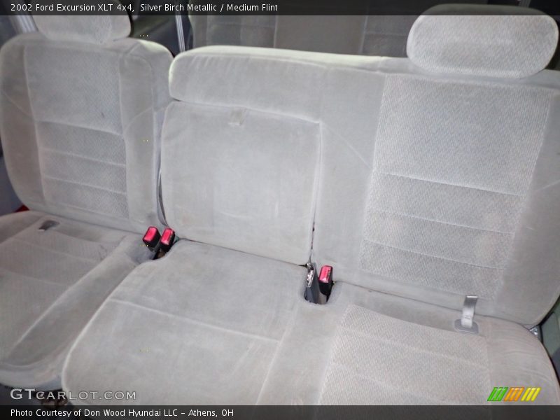 Silver Birch Metallic / Medium Flint 2002 Ford Excursion XLT 4x4