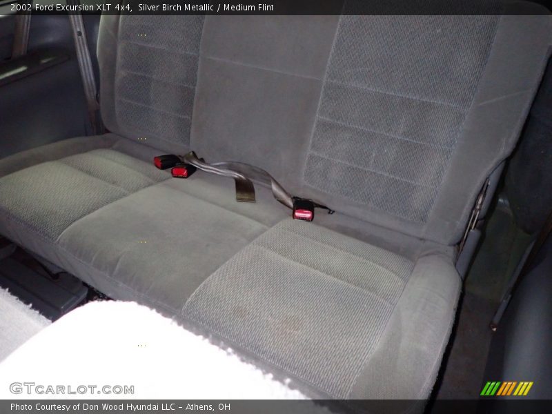 Silver Birch Metallic / Medium Flint 2002 Ford Excursion XLT 4x4