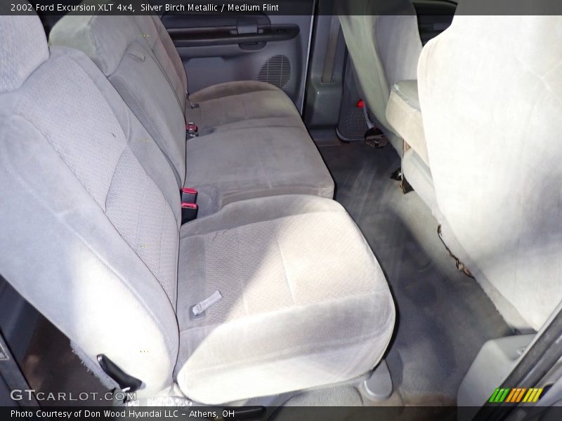 Silver Birch Metallic / Medium Flint 2002 Ford Excursion XLT 4x4