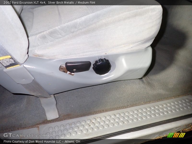 Silver Birch Metallic / Medium Flint 2002 Ford Excursion XLT 4x4