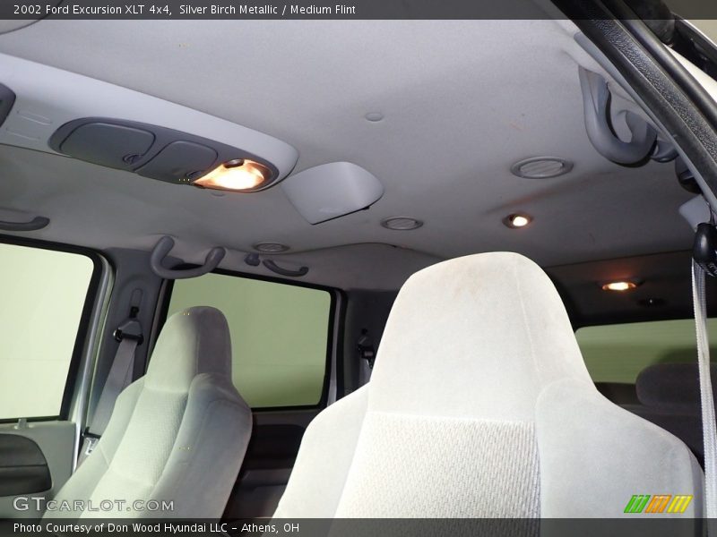 Silver Birch Metallic / Medium Flint 2002 Ford Excursion XLT 4x4