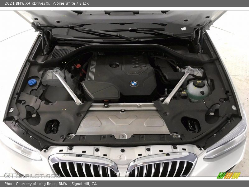 Alpine White / Black 2021 BMW X4 xDrive30i