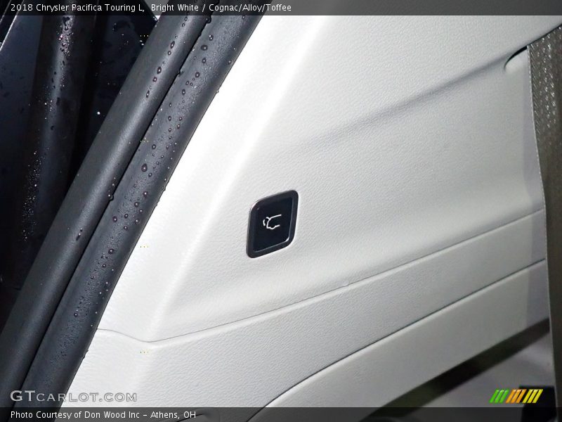 Bright White / Cognac/Alloy/Toffee 2018 Chrysler Pacifica Touring L