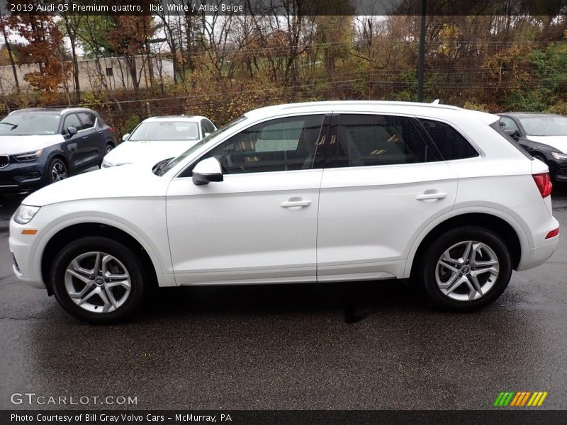 Ibis White / Atlas Beige 2019 Audi Q5 Premium quattro