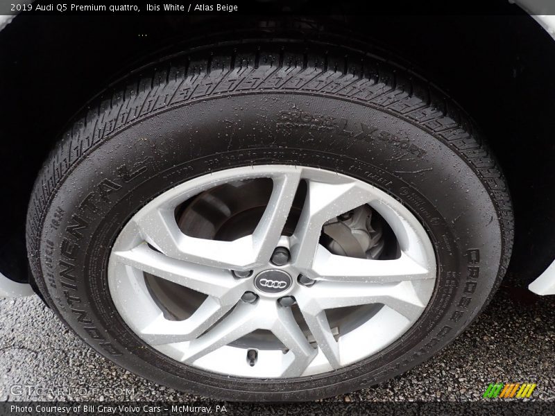 Ibis White / Atlas Beige 2019 Audi Q5 Premium quattro