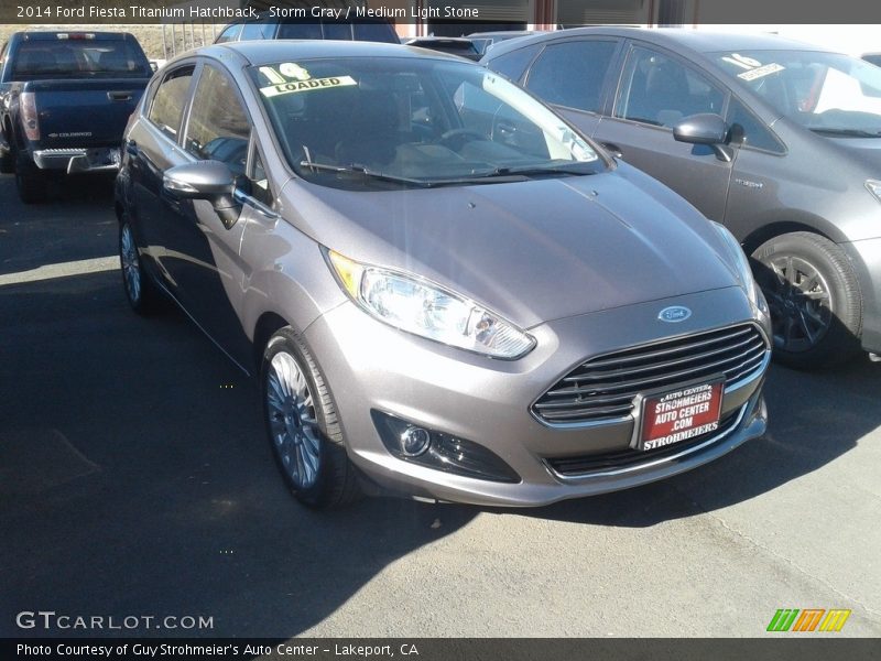 Storm Gray / Medium Light Stone 2014 Ford Fiesta Titanium Hatchback