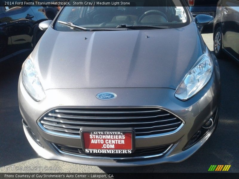 Storm Gray / Medium Light Stone 2014 Ford Fiesta Titanium Hatchback