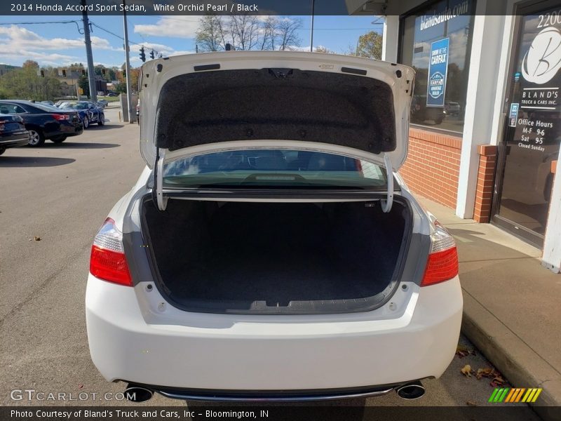 White Orchid Pearl / Black 2014 Honda Accord Sport Sedan