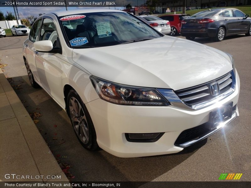 White Orchid Pearl / Black 2014 Honda Accord Sport Sedan