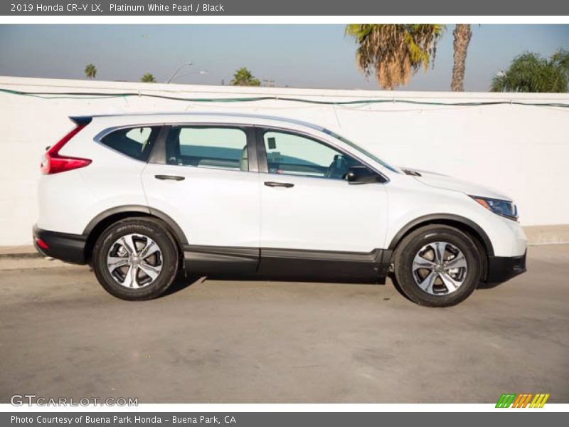 Platinum White Pearl / Black 2019 Honda CR-V LX