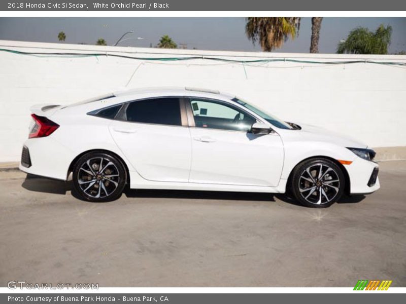White Orchid Pearl / Black 2018 Honda Civic Si Sedan