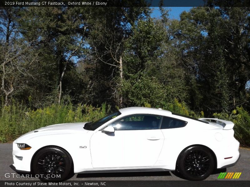 Oxford White / Ebony 2019 Ford Mustang GT Fastback