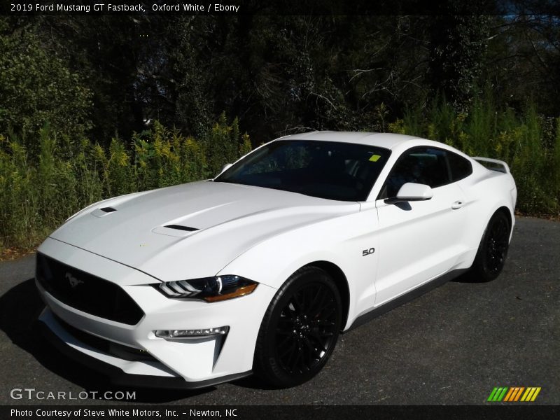 Oxford White / Ebony 2019 Ford Mustang GT Fastback