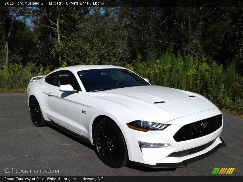 Oxford White / Ebony 2019 Ford Mustang GT Fastback