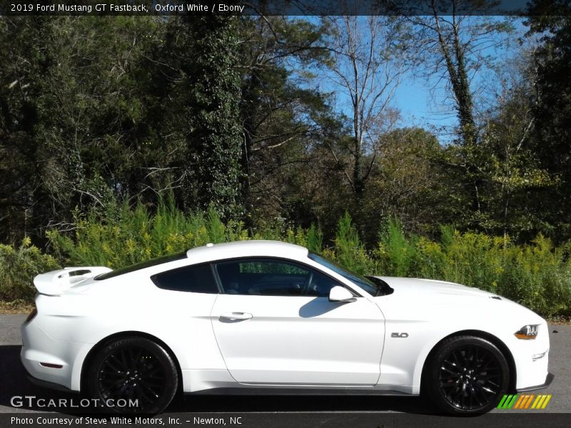 Oxford White / Ebony 2019 Ford Mustang GT Fastback