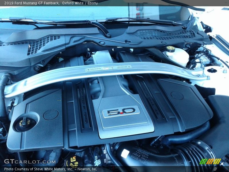Oxford White / Ebony 2019 Ford Mustang GT Fastback
