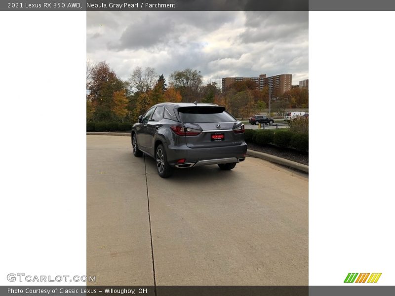 Nebula Gray Pearl / Parchment 2021 Lexus RX 350 AWD