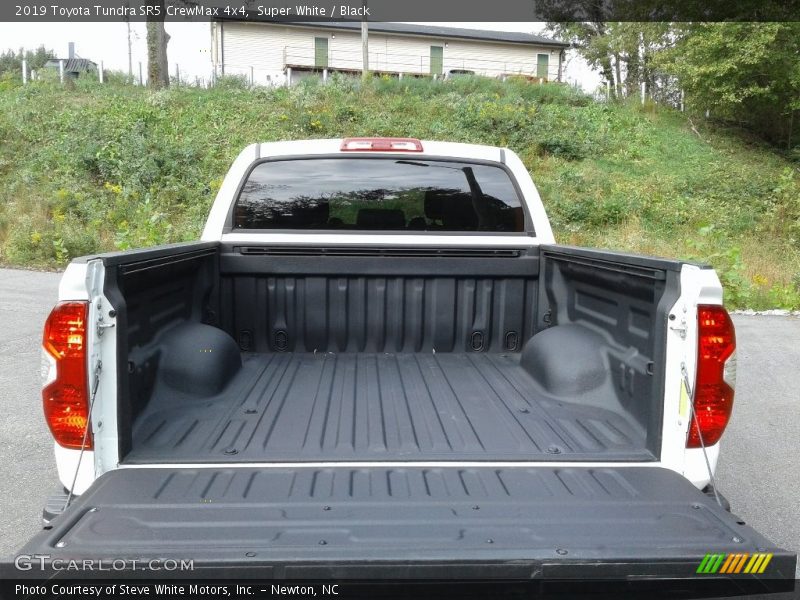 Super White / Black 2019 Toyota Tundra SR5 CrewMax 4x4