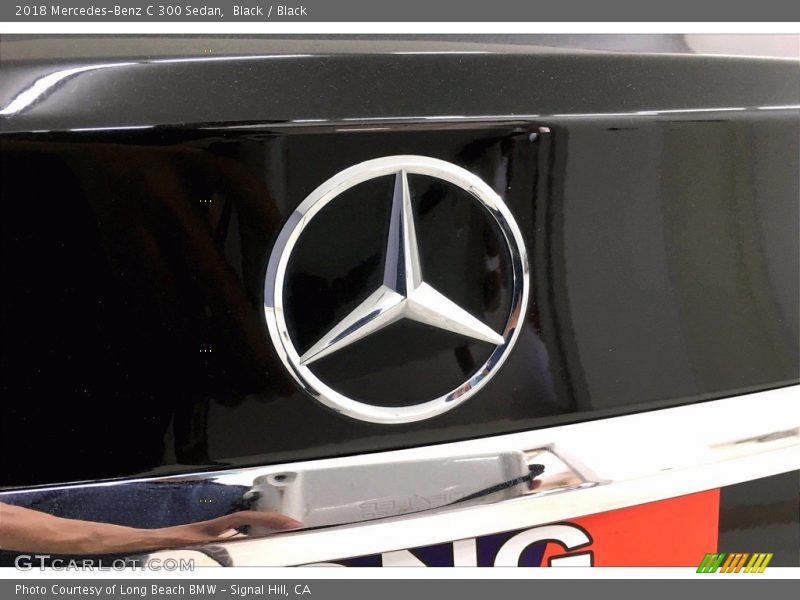 Black / Black 2018 Mercedes-Benz C 300 Sedan