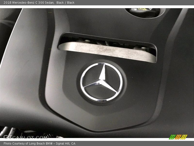 Black / Black 2018 Mercedes-Benz C 300 Sedan
