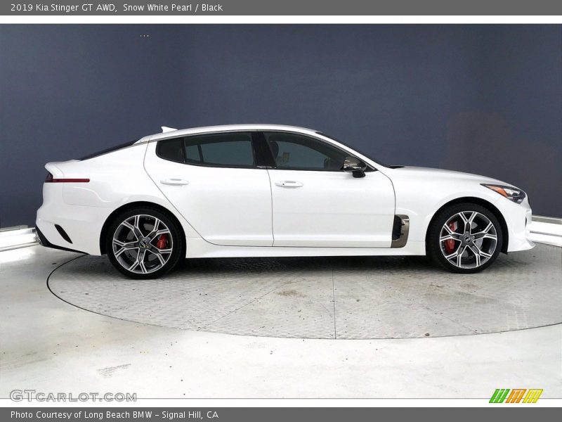  2019 Stinger GT AWD Snow White Pearl