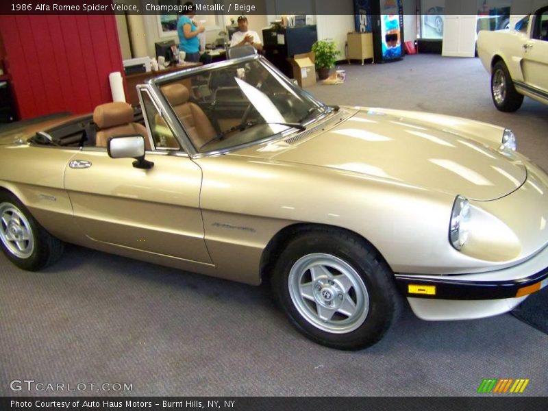 Champagne Metallic / Beige 1986 Alfa Romeo Spider Veloce