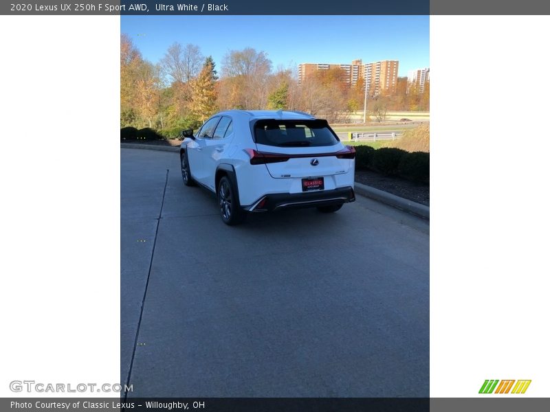 Ultra White / Black 2020 Lexus UX 250h F Sport AWD