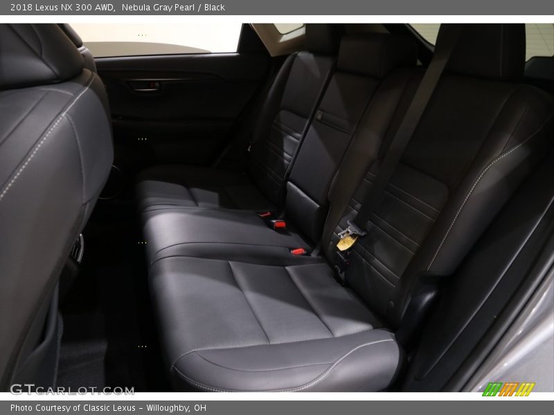 Nebula Gray Pearl / Black 2018 Lexus NX 300 AWD