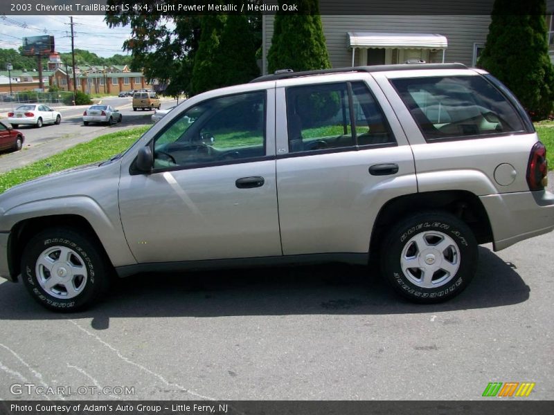 Light Pewter Metallic / Medium Oak 2003 Chevrolet TrailBlazer LS 4x4