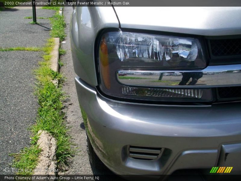 Light Pewter Metallic / Medium Oak 2003 Chevrolet TrailBlazer LS 4x4