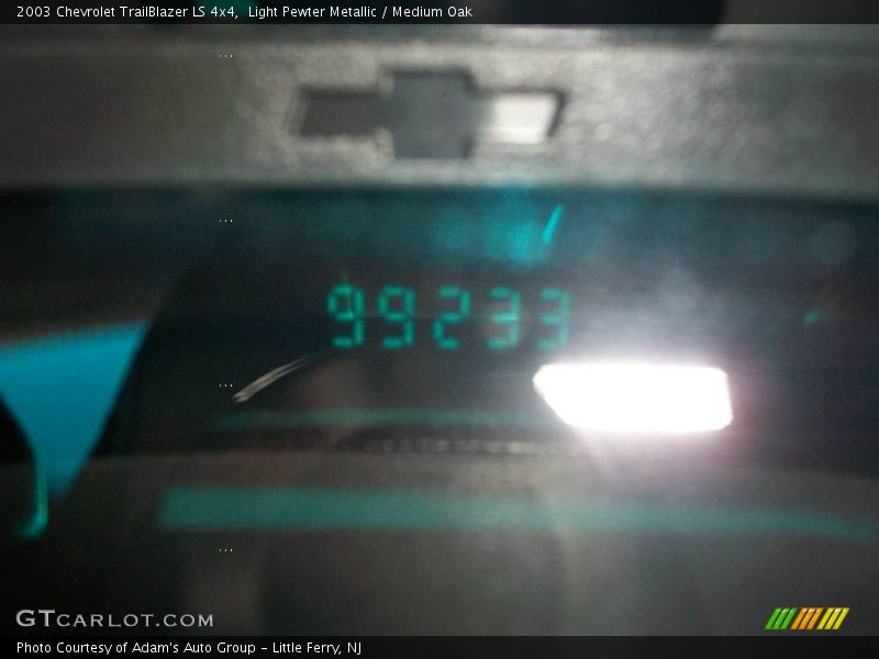 Light Pewter Metallic / Medium Oak 2003 Chevrolet TrailBlazer LS 4x4