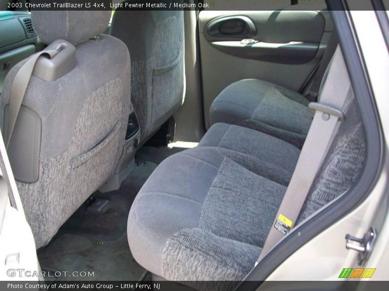 Light Pewter Metallic / Medium Oak 2003 Chevrolet TrailBlazer LS 4x4