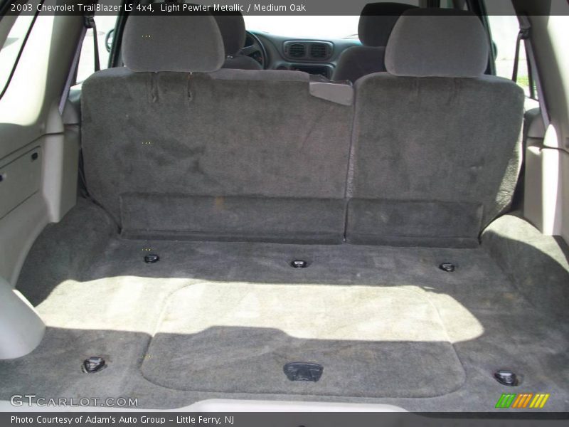 Light Pewter Metallic / Medium Oak 2003 Chevrolet TrailBlazer LS 4x4