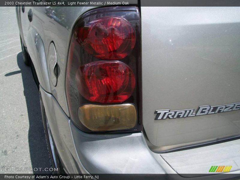 Light Pewter Metallic / Medium Oak 2003 Chevrolet TrailBlazer LS 4x4
