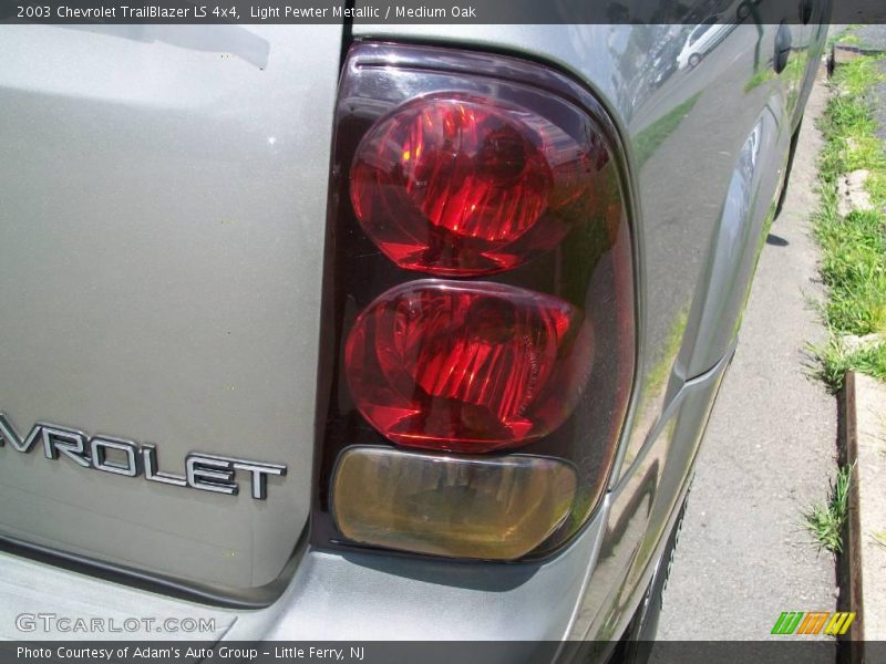 Light Pewter Metallic / Medium Oak 2003 Chevrolet TrailBlazer LS 4x4