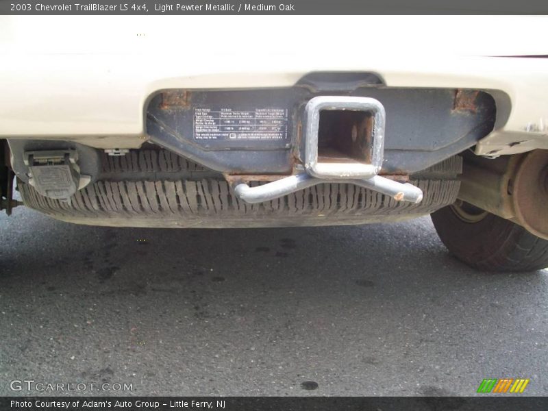 Light Pewter Metallic / Medium Oak 2003 Chevrolet TrailBlazer LS 4x4