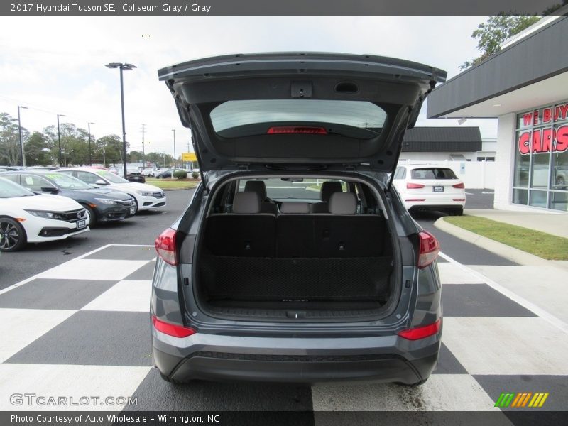 Coliseum Gray / Gray 2017 Hyundai Tucson SE
