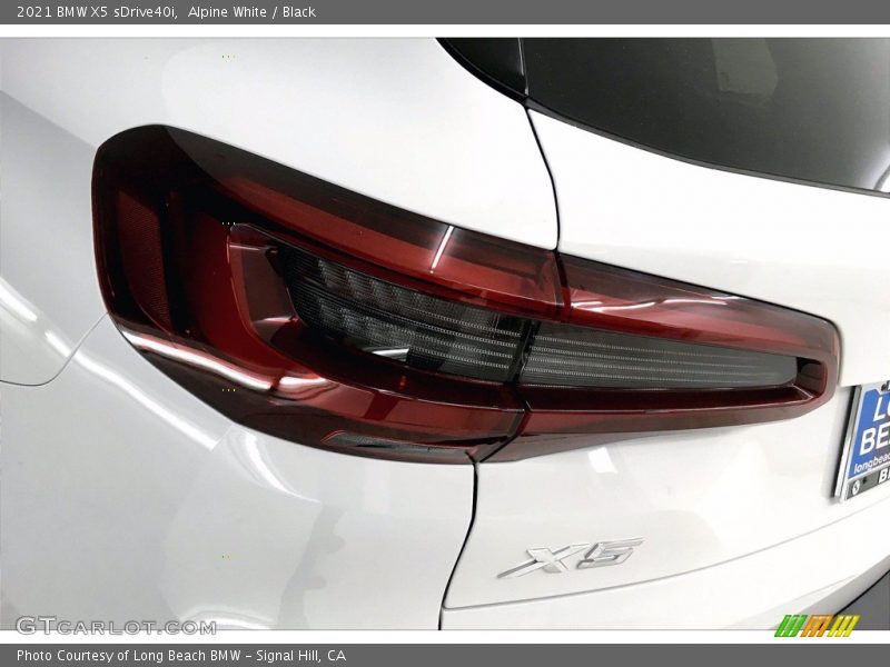 Alpine White / Black 2021 BMW X5 sDrive40i
