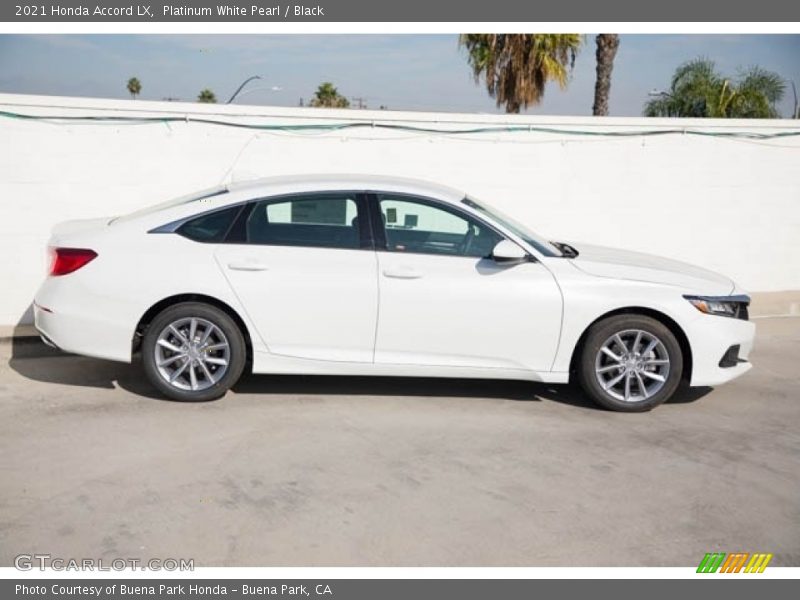  2021 Accord LX Platinum White Pearl