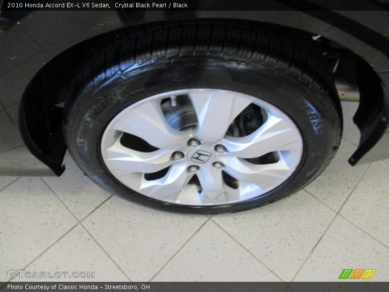 Crystal Black Pearl / Black 2010 Honda Accord EX-L V6 Sedan