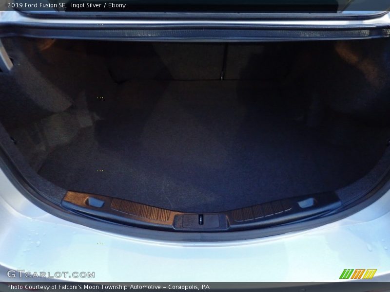 Ingot Silver / Ebony 2019 Ford Fusion SE