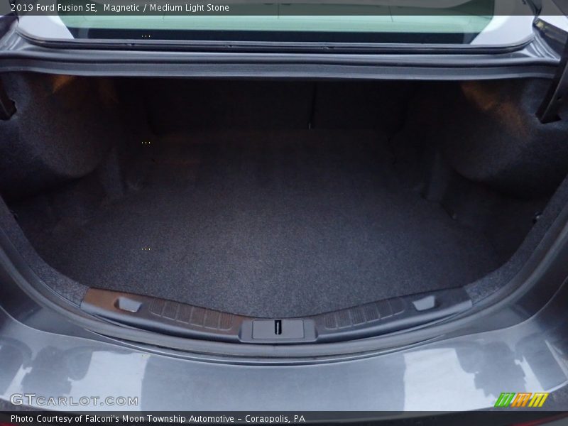 Magnetic / Medium Light Stone 2019 Ford Fusion SE