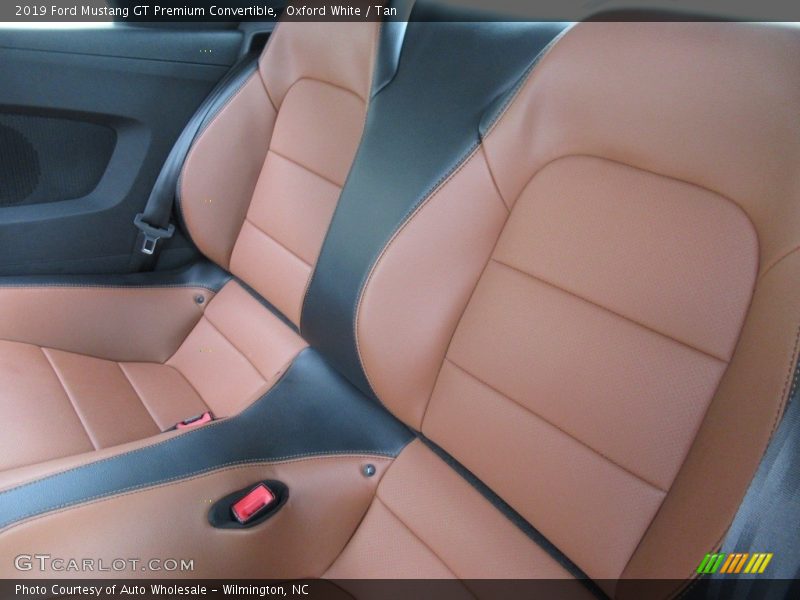 Rear Seat of 2019 Mustang GT Premium Convertible