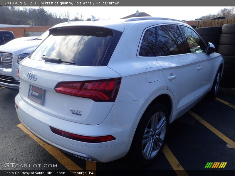 Ibis White / Nougat Brown 2018 Audi Q5 2.0 TFSI Prestige quattro