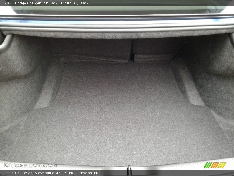 Frostbite / Black 2020 Dodge Charger Scat Pack