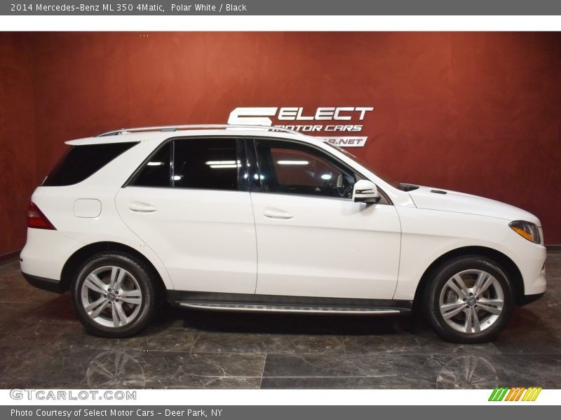 Polar White / Black 2014 Mercedes-Benz ML 350 4Matic