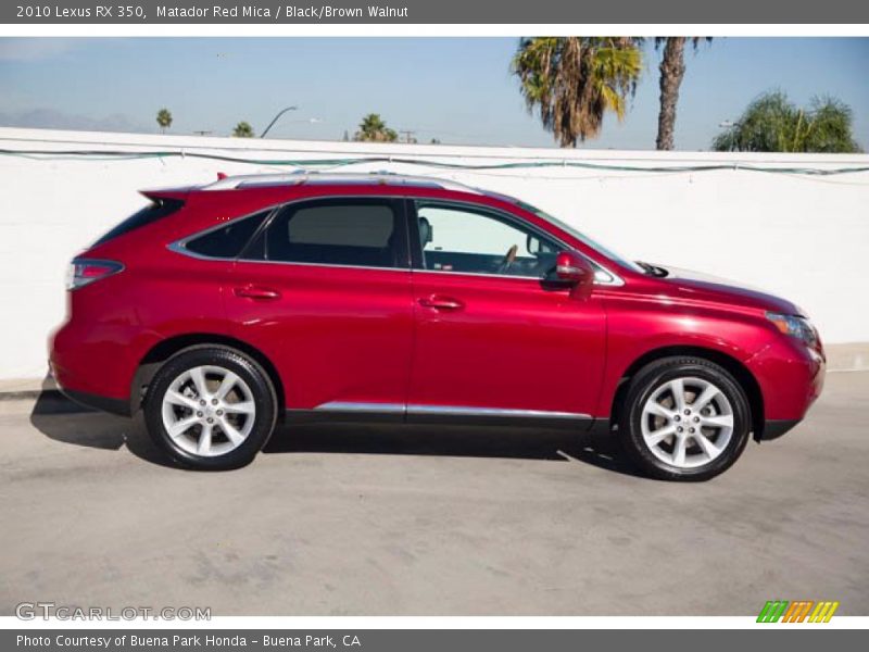 Matador Red Mica / Black/Brown Walnut 2010 Lexus RX 350