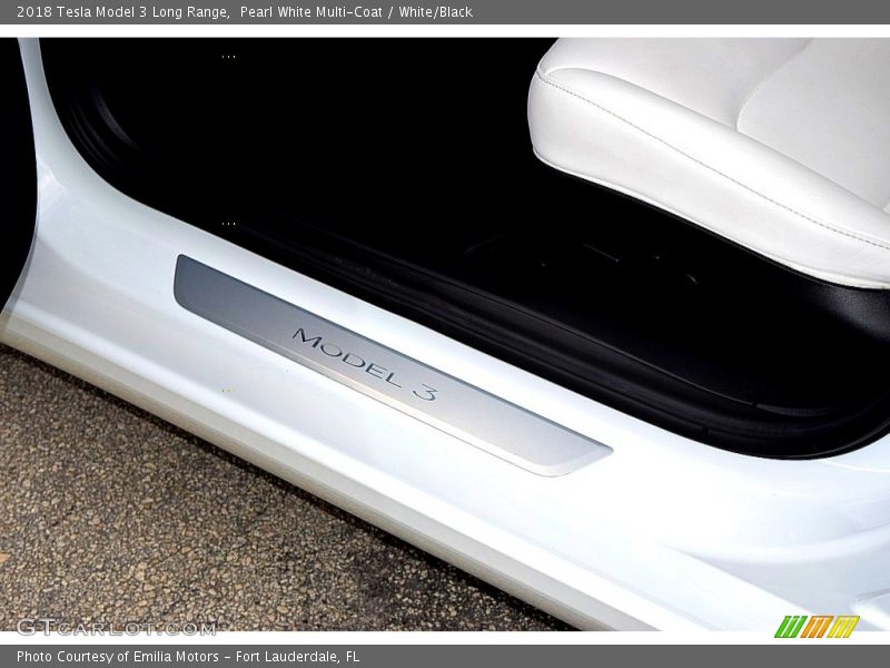  2018 Model 3 Long Range Logo