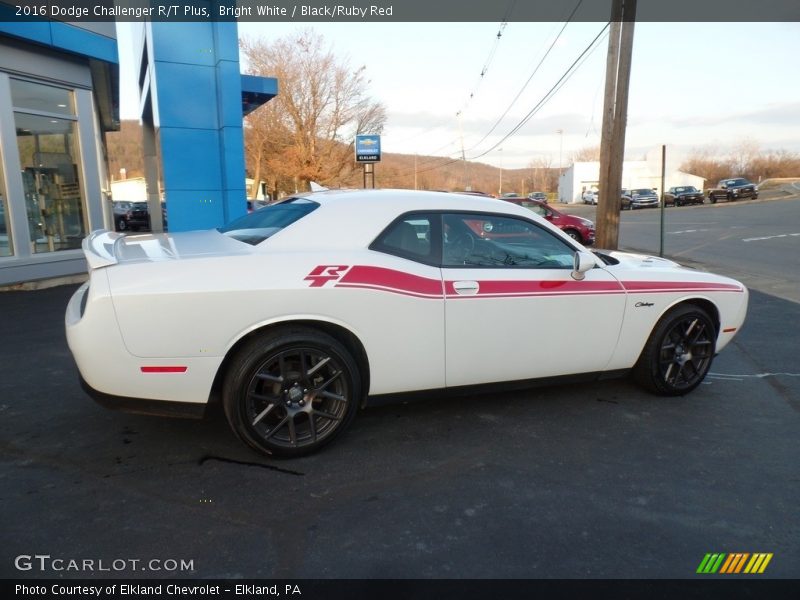 Bright White / Black/Ruby Red 2016 Dodge Challenger R/T Plus